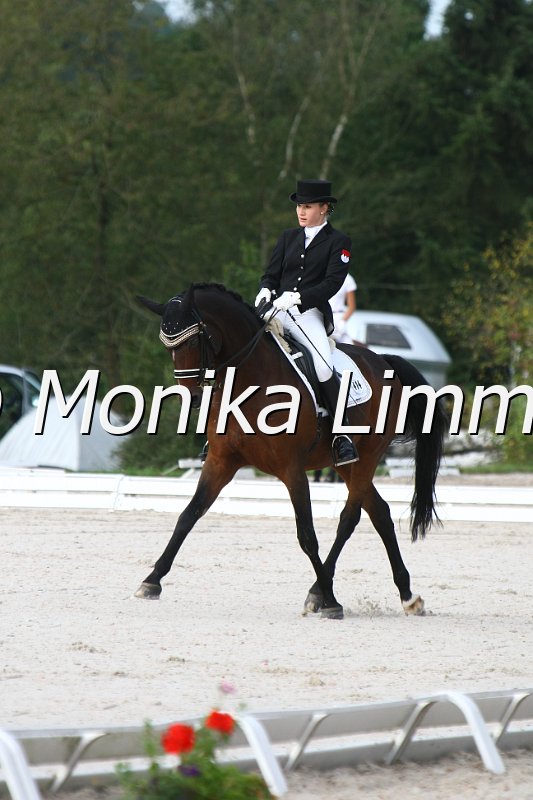 109L8687_Ratz Fatz_Dressur Mxx_Youngster Cup.JPG